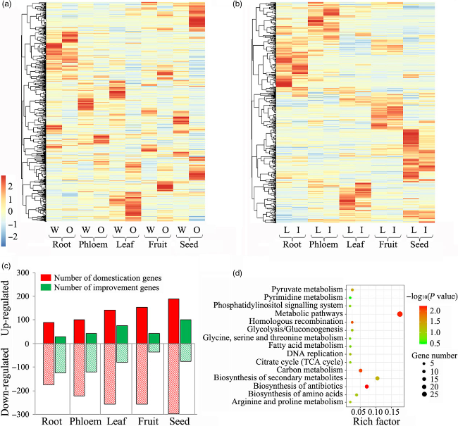 1658918250204032.png 3.png